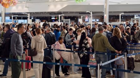 Airports beg flight passengers to change their travel habits after DHS shutdown jams lines