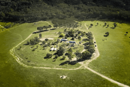 Police vow to track down the people who helped Dezi Freeman after killer shot dead in early morning raid Police vow to track down the people who helped Dezi Freeman after killer shot dead in early morning raid