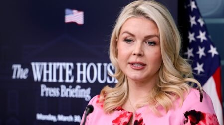 Leavitt calls on Congress to end Easter recess to work on DHS shutdown Leavitt calls on Congress to end Easter recess to work on DHS shutdown