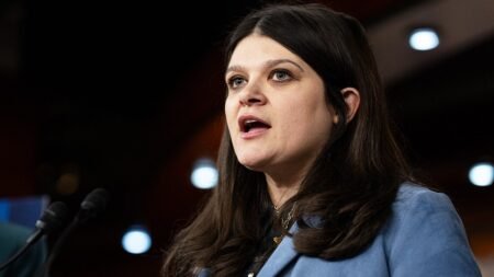 Dem Senate candidate’s job listing invites applicants of any ‘citizenship status’ to apply for top role Dem Senate candidate’s job listing invites applicants of any ‘citizenship status’ to apply for top role