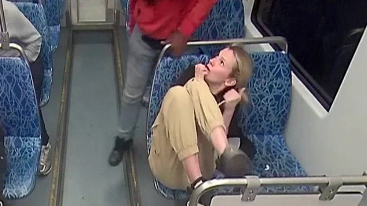 Iryna Zarutska pictured moments before her death cowering in her seat on a Charlotte commuter train