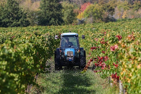 Handpicked Wines is moving towards electrification to reduce emissions and exposure to fossil fuel prices.