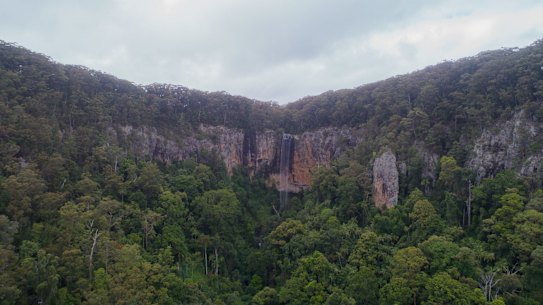 Springbrook National Park is a popular destination for hikers.