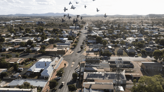 Cargelligo is a town gripped by fear. 