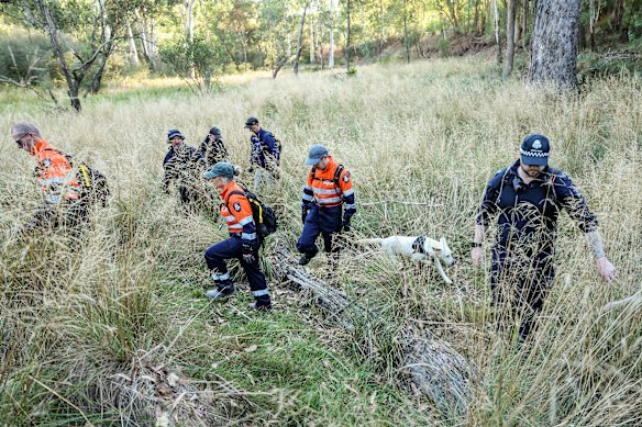 A huge amount of police resources have been dedicated to the search for Dezi Freeman. 