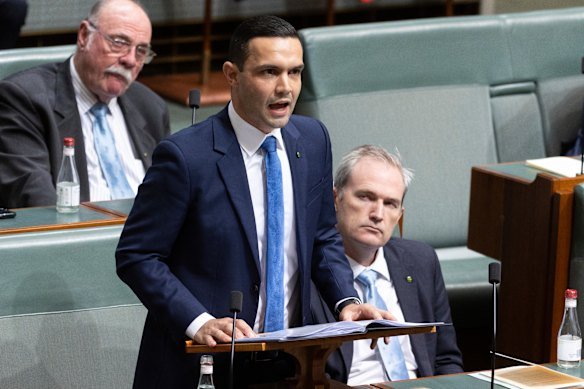 Liberal MP Aaron Violi said Labor was failing to step up to the biggest technological boom in a generation.