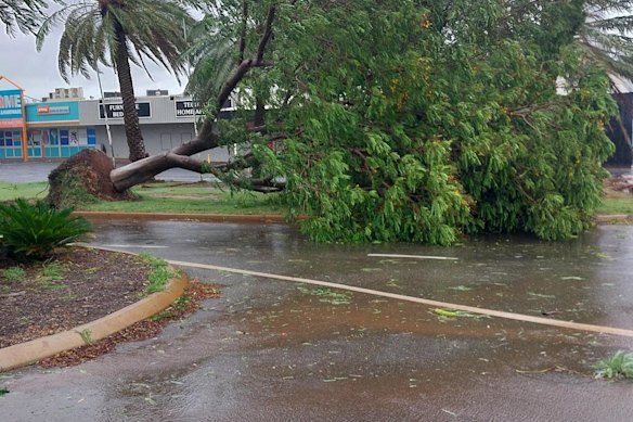 A tree down in the City of Karratha on Thursday morning.