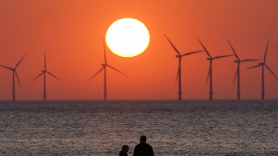 Renewables are set for another five years of record growth, the International Energy Agency says. 