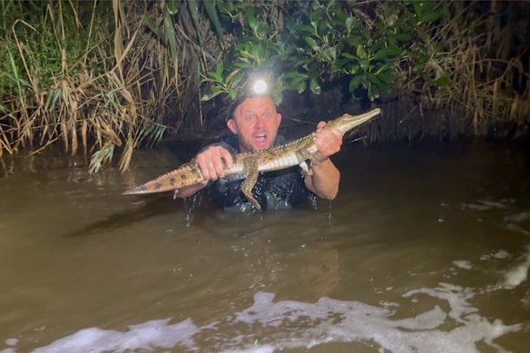 Australian Reptile Park manager Billy Collett with the freshwater crocodile captured at Wallsend.
