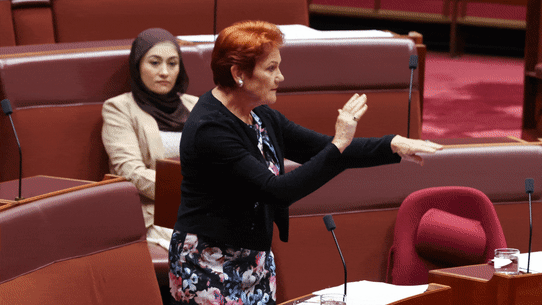 Hanson slapped herself on the wrist and stormed out of the chamber before the Senate censured her.
