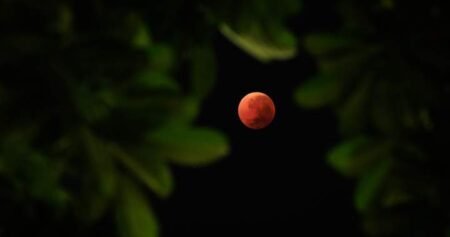 ‘Blood moon’ visible across Canada overnight, early morning: NASA