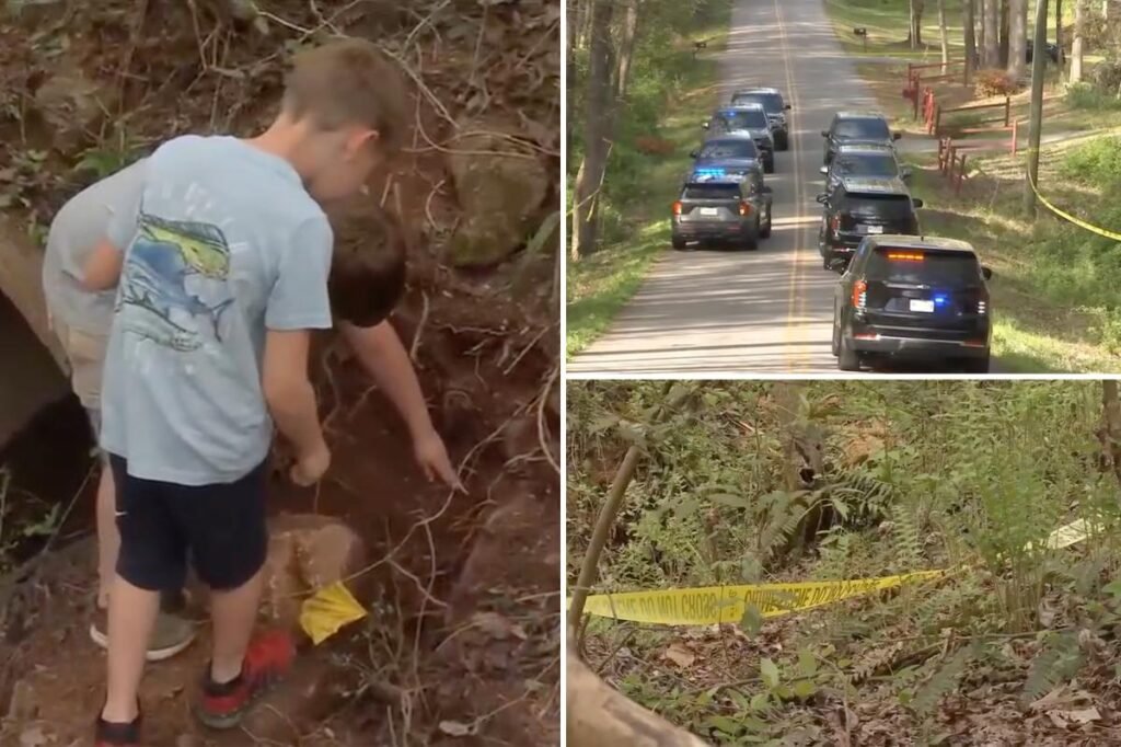 Children find human skull while playing near South Carolina creek, authorities unearth 50 more bones Children find human skull while playing near South Carolina creek, authorities unearth 50 more bones