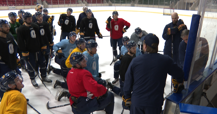 Queen’s Gaels prepare for crucial OUA bronze-medal hockey matchup against TMU Queen’s Gaels prepare for crucial OUA bronze-medal hockey matchup against TMU