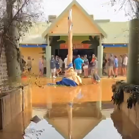 People’s Park in Coral Bay is assessing the damage to its accommodation after Tropical Cyclone Narelle.