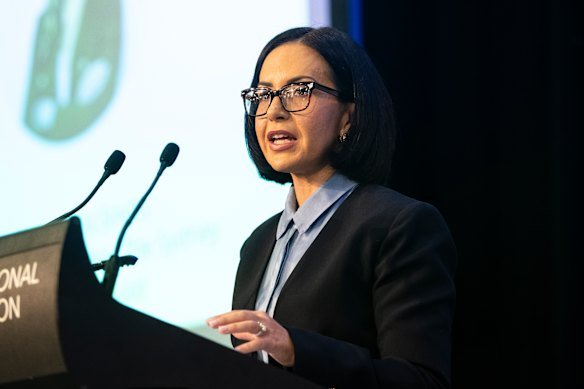 Education Minister Prue Car will detail how a new program called Inspire will ensure every single school is stretching gifted students.