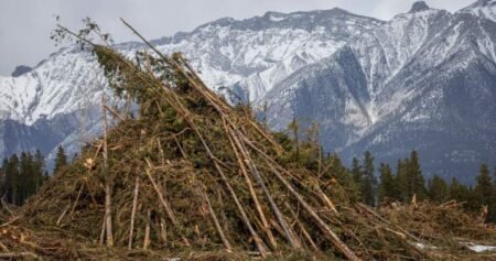 Alberta mountain towns deal with ‘low-grade anxiety’ as wildfire season begins