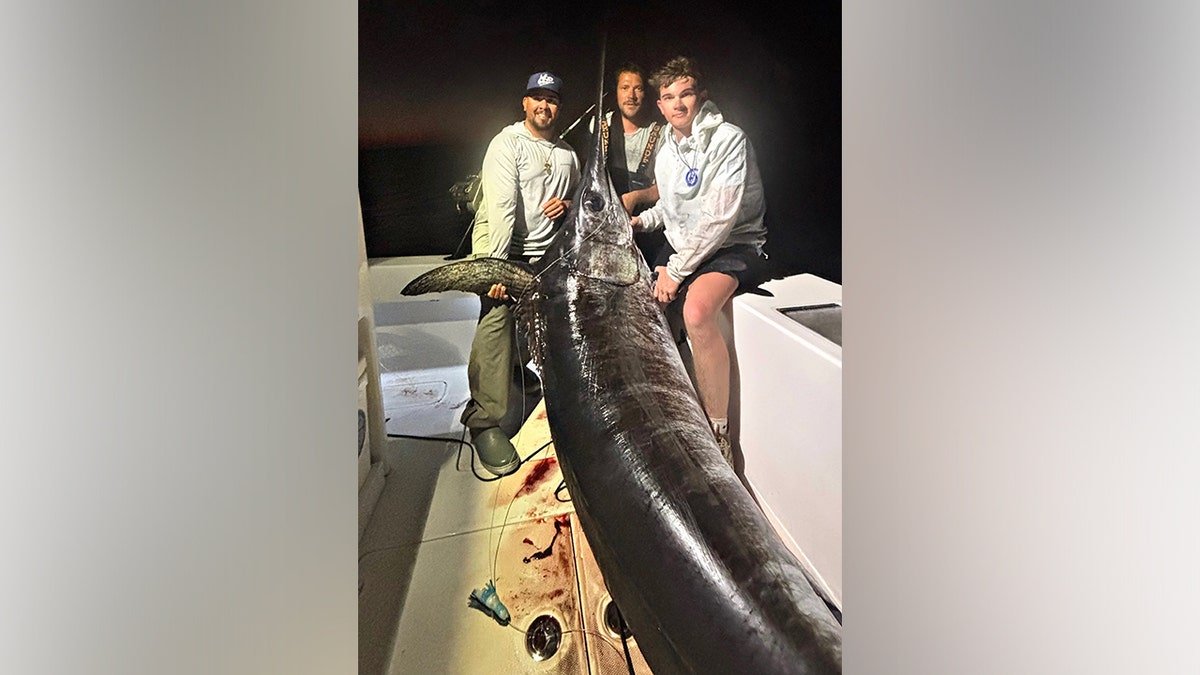 Captain in Florida Keys Catches Massive Swordfish