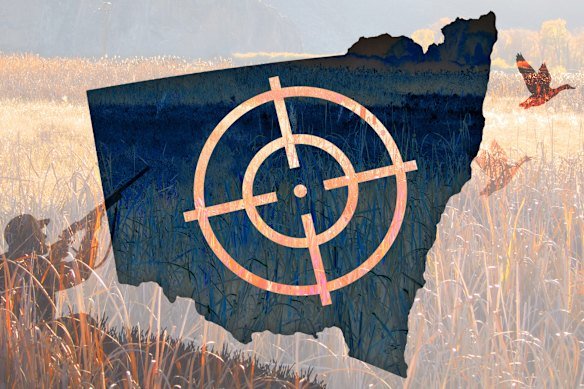 More than 250,000 people have acquired gun licences in NSW claiming to be hunters or sports shooters. 