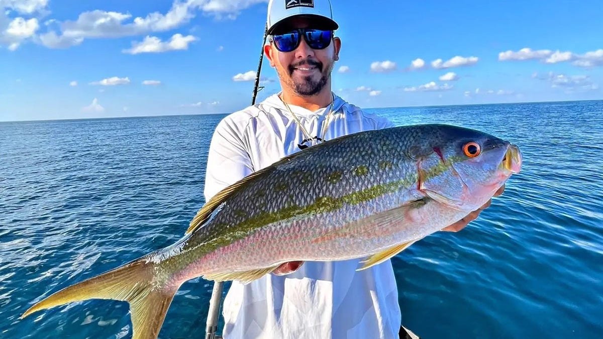 Captain lands almost 500 pound fish