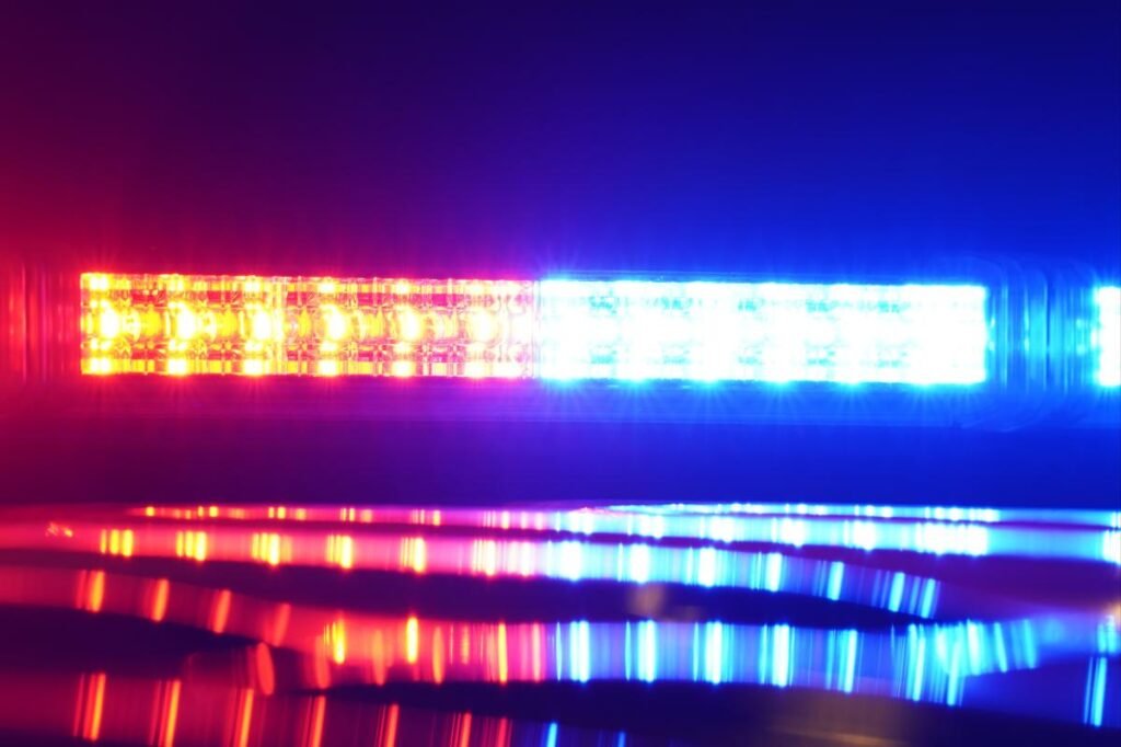 NYC nutjob hit with animal cruelty charges for ‘stretching’ ex-girlfriend’s cat to death: DA