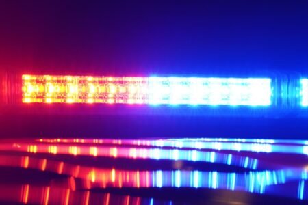 NYC nutjob hit with animal cruelty charges for ‘stretching’ ex-girlfriend’s cat to death: DA