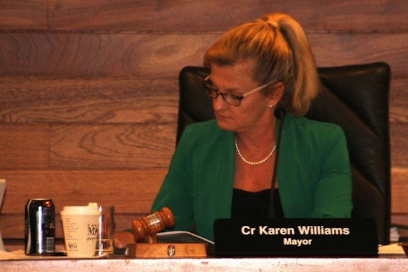 Karen Williams voted for the Fiteni development Shoreline in 2015.