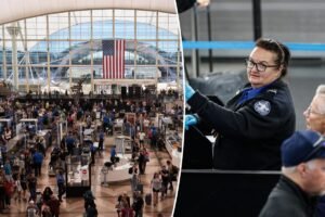 Denver International Airport pleads for gift card donations to cover TSA agents pay during government shutdown Denver International Airport pleads for gift card donations to cover TSA agents pay during government shutdown