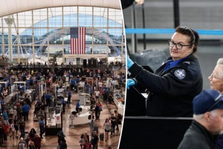 Denver International Airport pleads for gift card donations to cover TSA agents pay during government shutdown