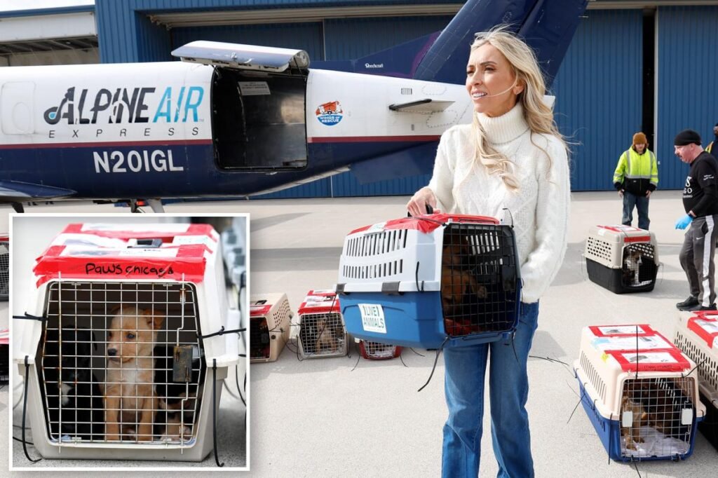 Giuliana Rancic leads the pack as Windy City welcomes 100+ rescue dogs from California