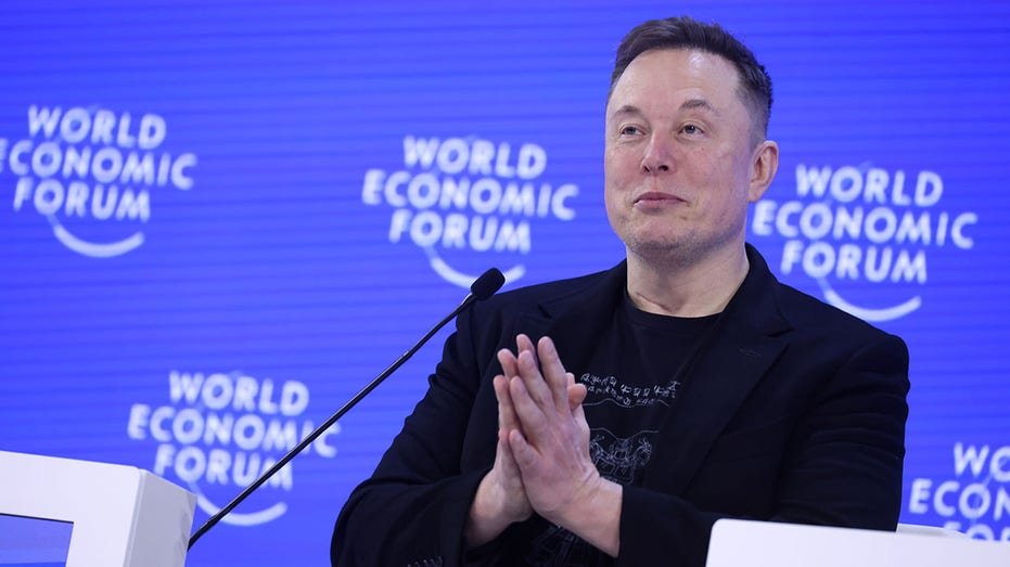 Elon Musk at the World Economic Forum.