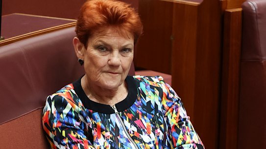 One Nation leader Pauline Hanson before being suspended from the Senate on Tuesday.