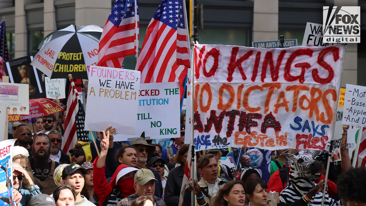 "No Kings" protesters in Washington, D.C.