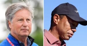 Former PGA Tour Pro Brandel Chamblee Urges Tiger Woods to Quit Golf After Latest DUI Arrest Former PGA Tour Pro Brandel Chamblee Urges Tiger Woods to Quit Golf After Latest DUI Arrest