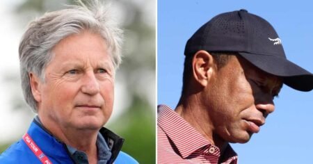 Former PGA Tour Pro Brandel Chamblee Urges Tiger Woods to Quit Golf After Latest DUI Arrest Former PGA Tour Pro Brandel Chamblee Urges Tiger Woods to Quit Golf After Latest DUI Arrest
