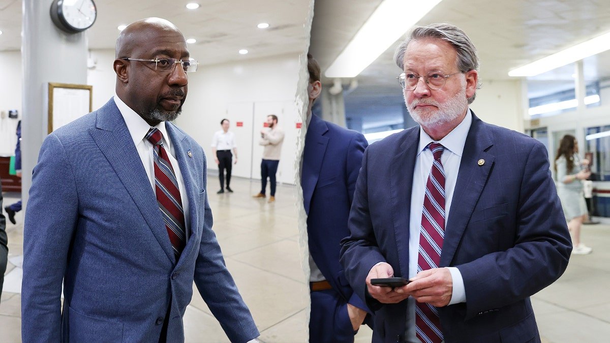 Democrat Senators Raphael Warnock and Gary Peters