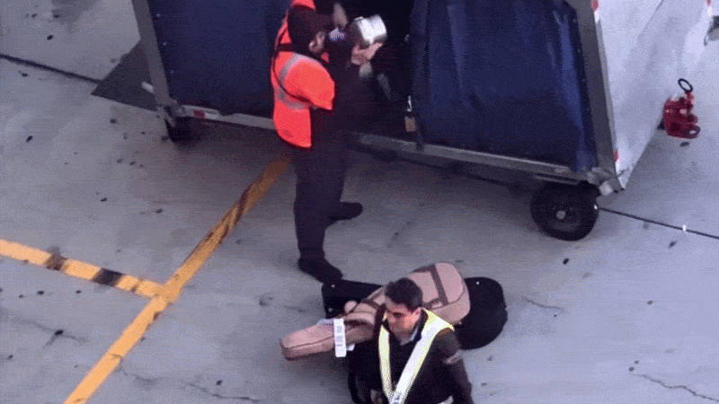 Baggage handler slammed after viral video shows guitars violently tossed on tarmac Baggage handler slammed after viral video shows guitars violently tossed on tarmac