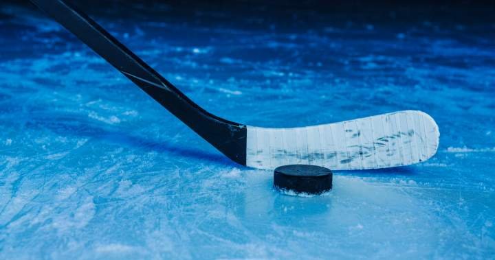 Brawl-filled N.L. junior hockey game a ‘black eye’ on sport after 572 penalty minutes Brawl-filled N.L. junior hockey game a ‘black eye’ on sport after 572 penalty minutes