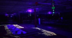 Charges laid in Toronto-area zipline accident that sent child to hospital