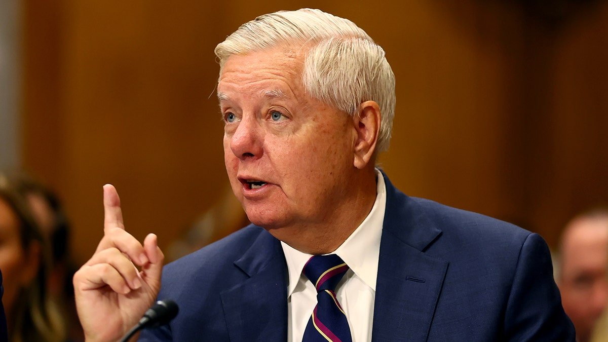 Sen. Lindsey Graham speaks in congressional hearing