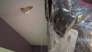 Woman claims space rock smashed into house after Houston-area blast rattles residents Woman claims space rock smashed into house after Houston-area blast rattles residents