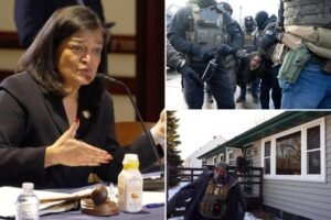 Progressive Rep. Pramila Jayapal calls for reparations for illegal immigrants ‘traumatized’ by ICE Progressive Rep. Pramila Jayapal calls for reparations for illegal immigrants ‘traumatized’ by ICE