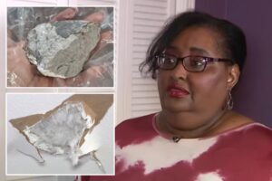 Houston woman claims suspected meteorite smashed into house after blast rattles residents Houston woman claims suspected meteorite smashed into house after blast rattles residents