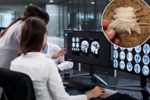 Frozen mouse brains revived from ‘cryosleep’ in a scientific first Frozen mouse brains revived from ‘cryosleep’ in a scientific first