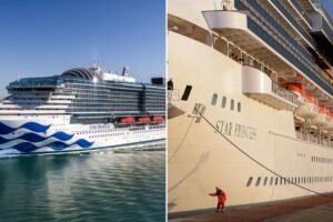 Norovirus outbreak sickens 153 passengers, crew on Star Princess cruise ship