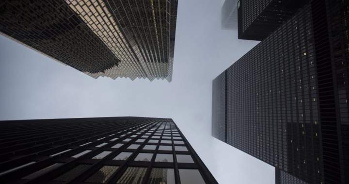 Companies will be allowed to report finances semi-annually in pilot project Companies will be allowed to report finances semi-annually in pilot project