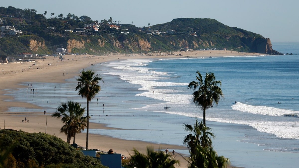Wide view of a sunny Southern California beach with gentle waves, surfers in the water, and palm trees in the foreground.