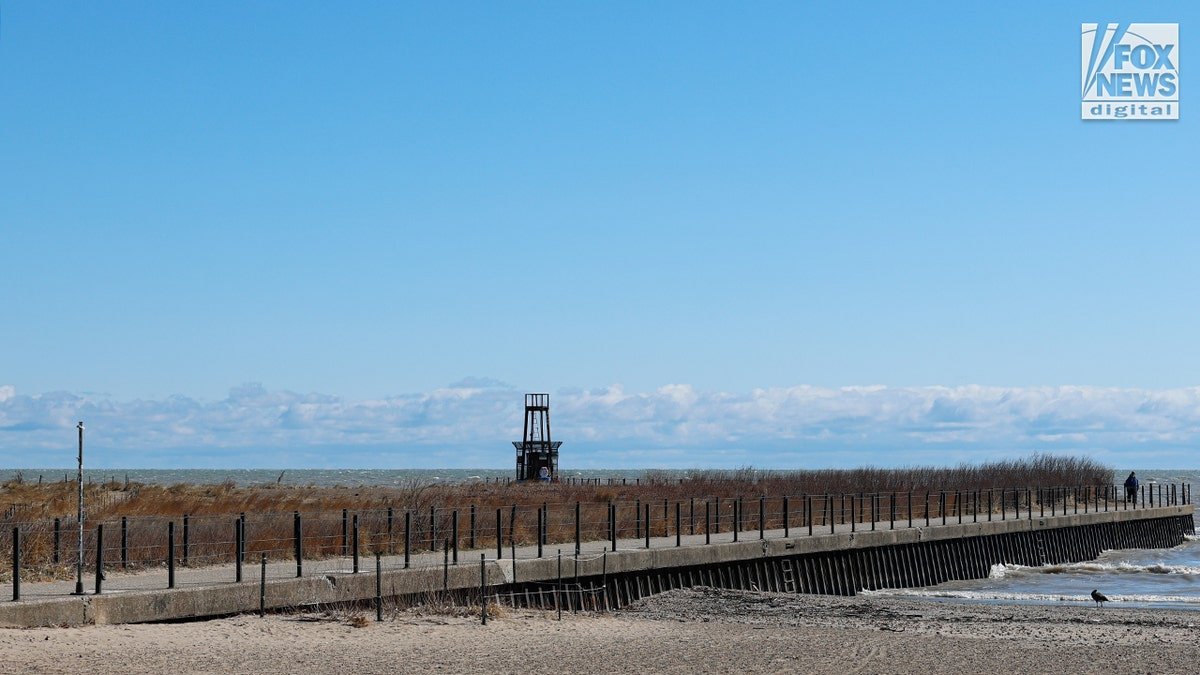 The shoreline where Loyola student Sheridan Gorman was allegedly shot by a migrant in Chicago