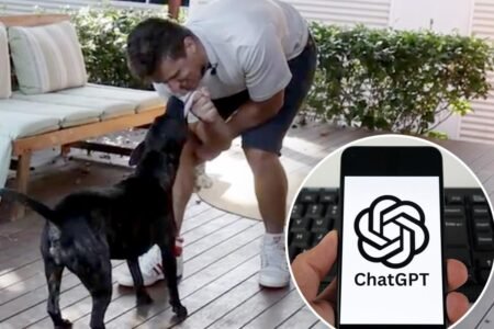 Tech pro saves his dying dog by using ChatGPT to code a custom cancer vaccine Tech pro saves his dying dog by using ChatGPT to code a custom cancer vaccine