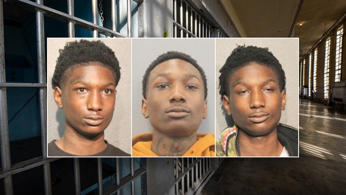 Johnnie Lillie's Texas mugshots