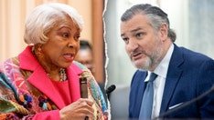 Virginia Democrat gives profanity-laced response to Cruz's criticism of the state's redistricting push